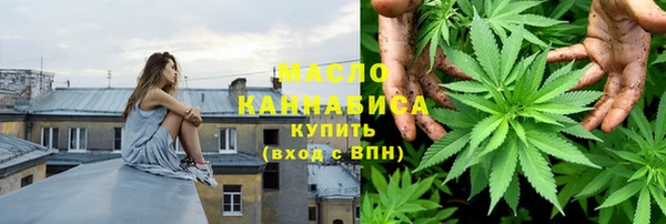 индика Богданович